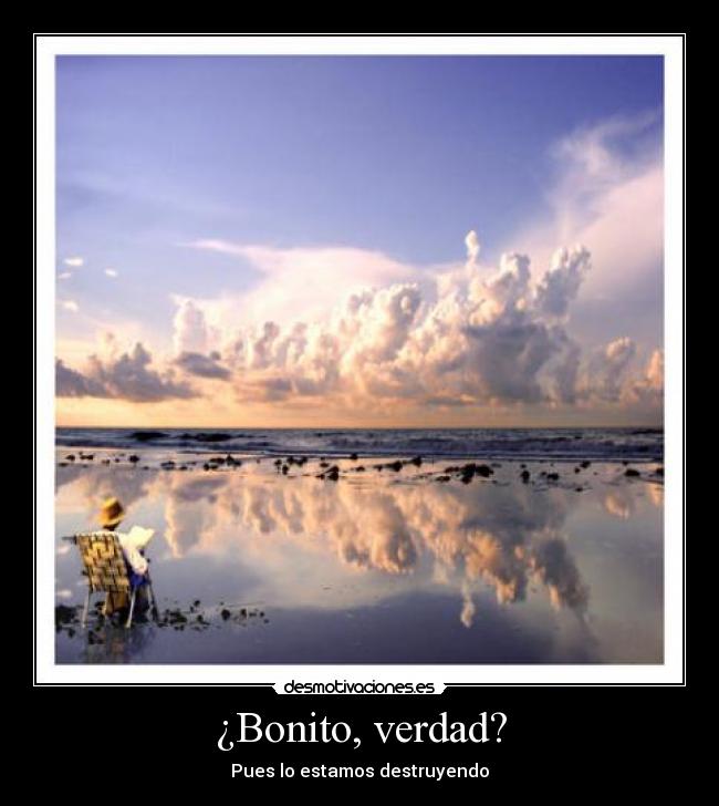¿Bonito, verdad? -