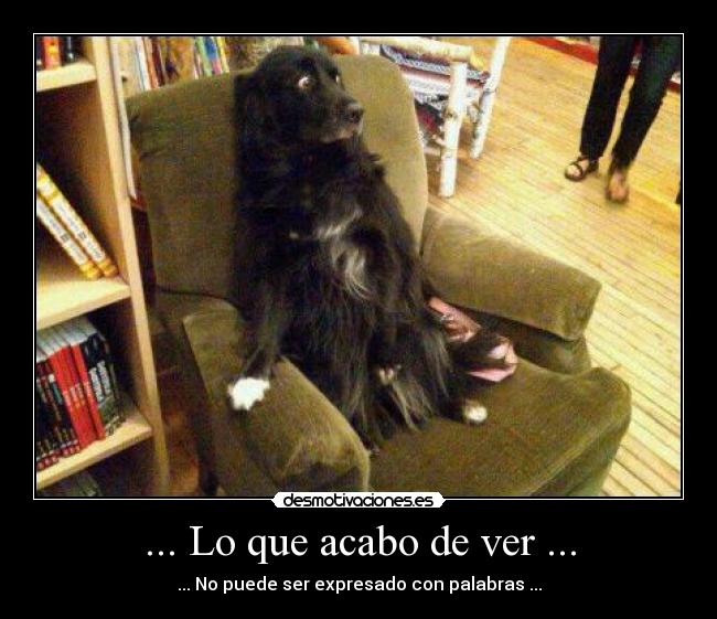 carteles dogface desmotivaciones