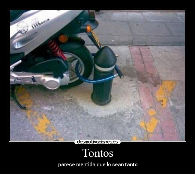 Tontos -