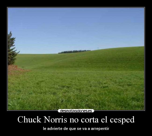Chuck Norris no corta el cesped -