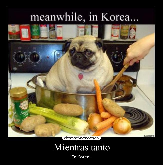 Mientras tanto - En Korea...