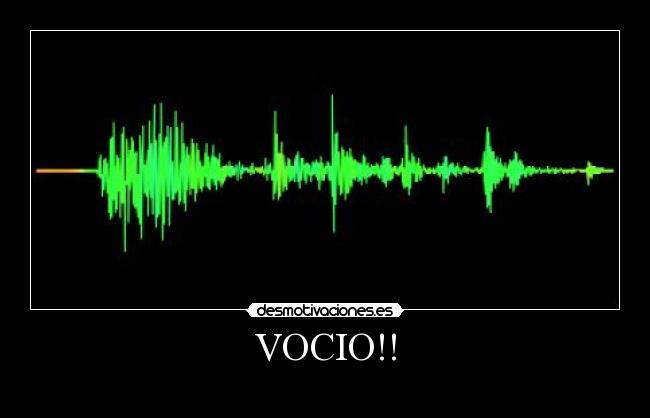 VOCIO!! -