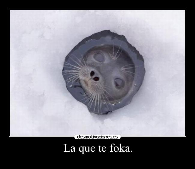 La que te foka. - 