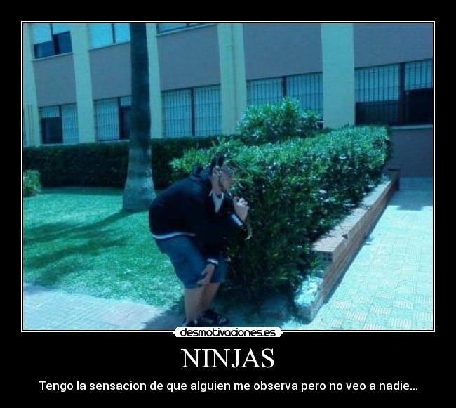 NINJAS - Tengo la sensacion de que alguien me observa pero no veo a nadie...