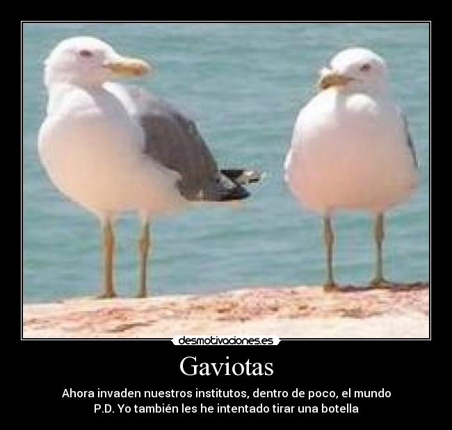 carteles fuuuuuuuuuuuuuuuuuuuuuuuuuuuu desmotivaciones