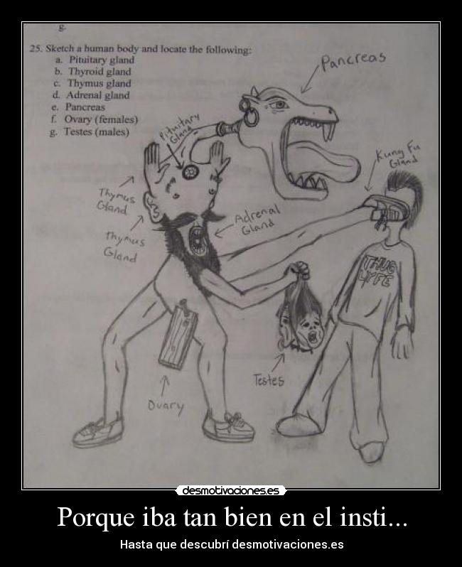 Porque iba tan bien en el insti... - 