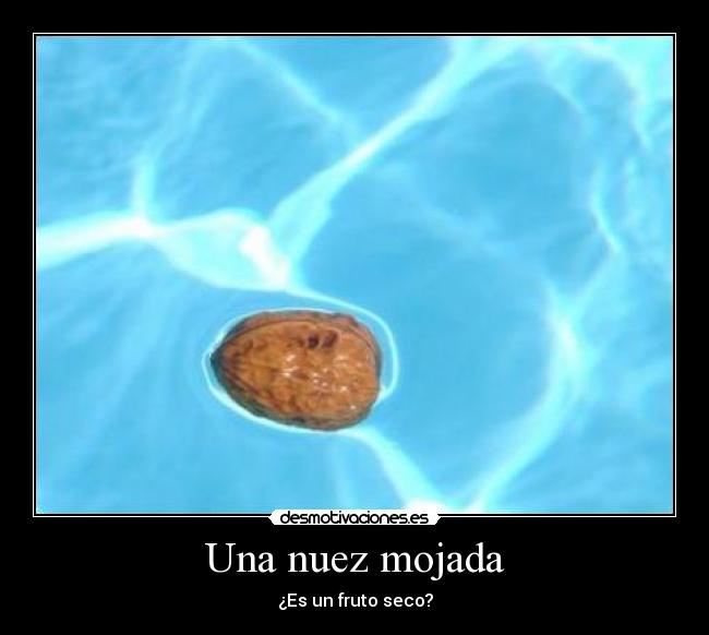 Una nuez mojada - ¿Es un fruto seco?
