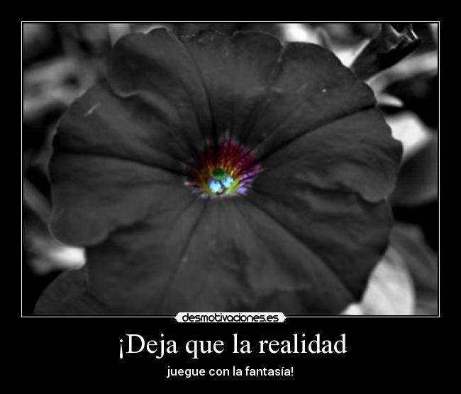 ¡Deja que la realidad - juegue con la fantasía!