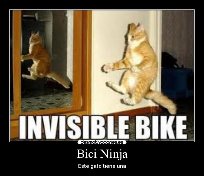 Bici Ninja - Este gato tiene una