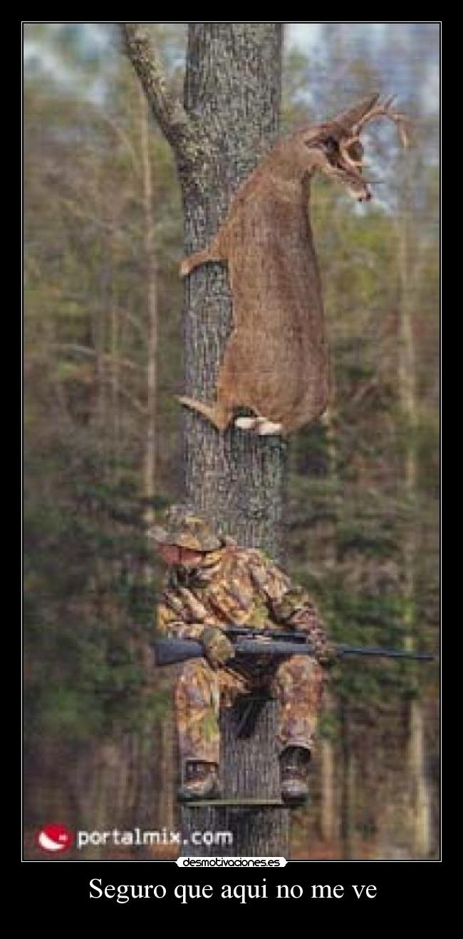 Seguro que aqui no me ve -