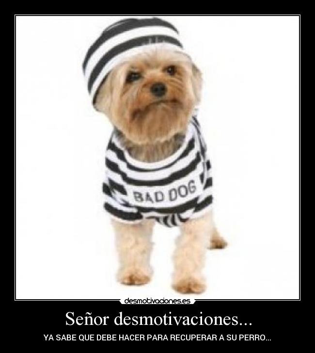 Señor desmotivaciones... -