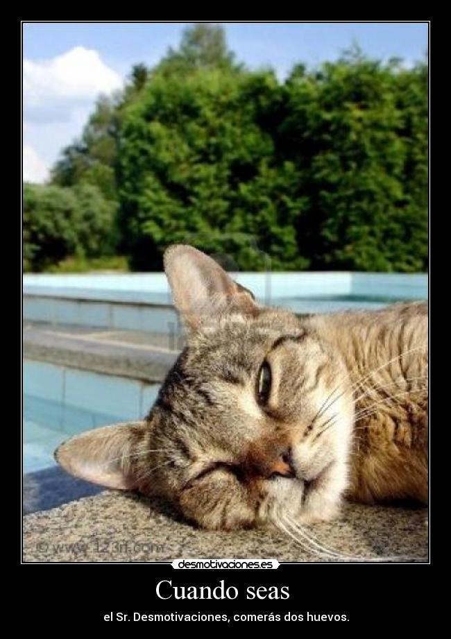 Cuando seas - el Sr. Desmotivaciones, comerás dos huevos.