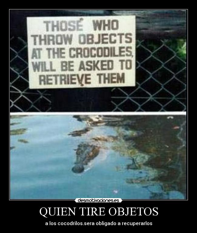 QUIEN TIRE OBJETOS - a los cocodrilos.sera obligado a recuperarlos