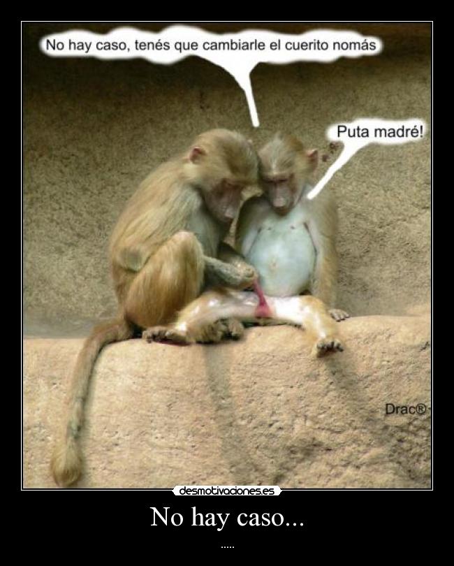 No hay caso... - .....