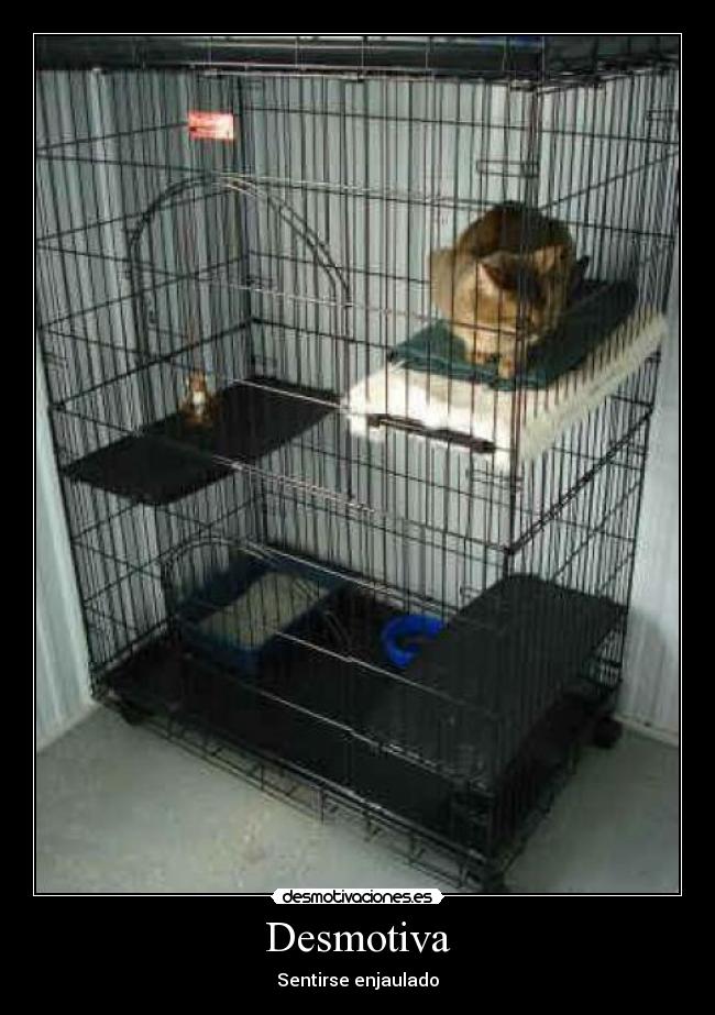 Desmotiva - Sentirse enjaulado