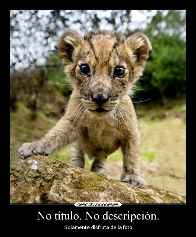 No título. No descripción. - 