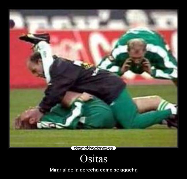 Ositas - Mirar al de la derecha como se agacha