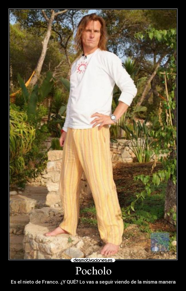carteles pocholo desmotivaciones