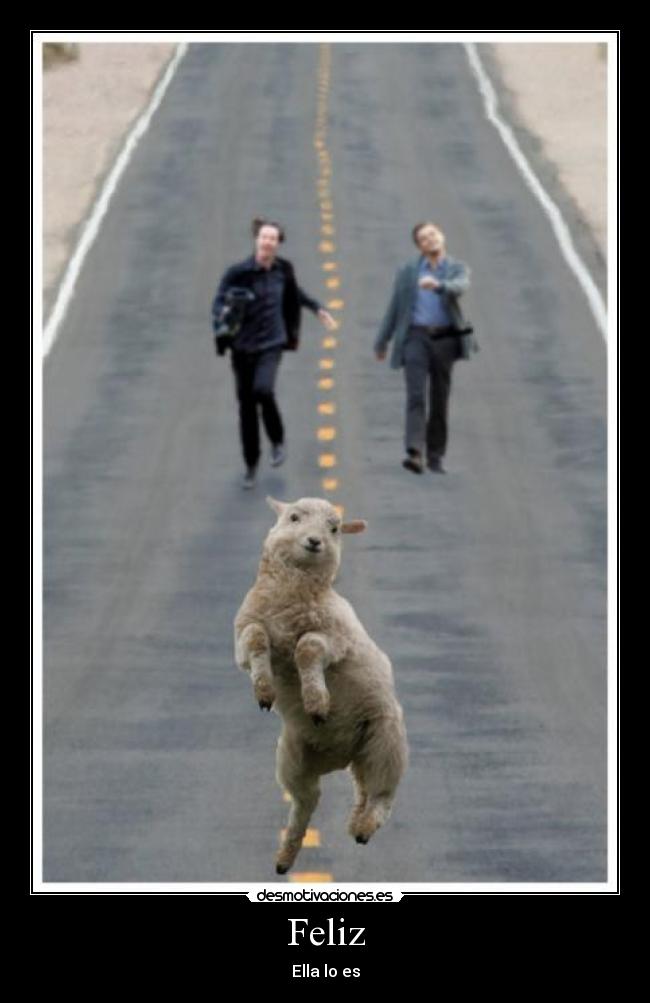 Feliz -
