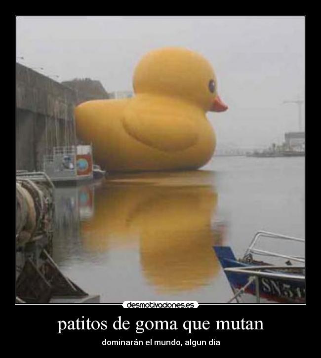 patitos de goma que mutan - 