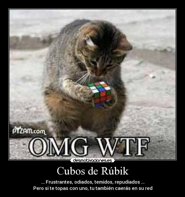 Cubos de Rúbik -