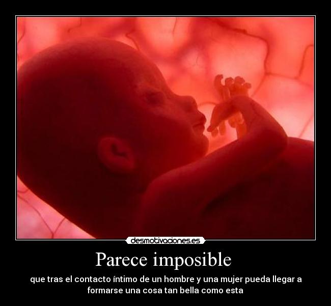 Parece imposible  - 