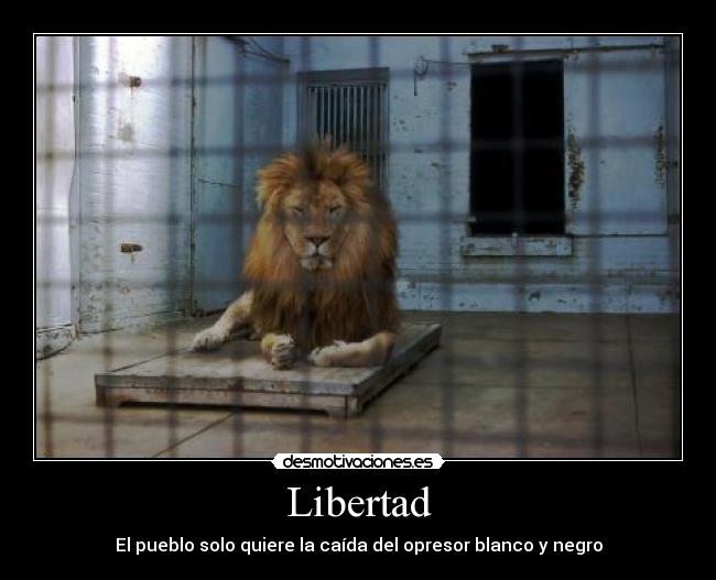 Libertad - 