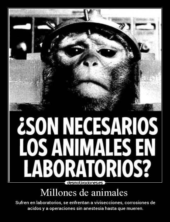 Millones de animales -