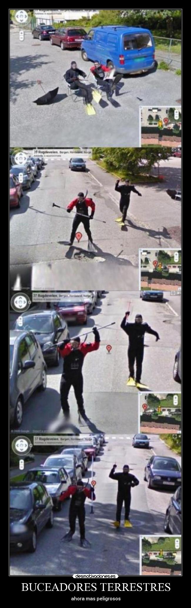 BUCEADORES TERRESTRES - ahora mas peligrosos