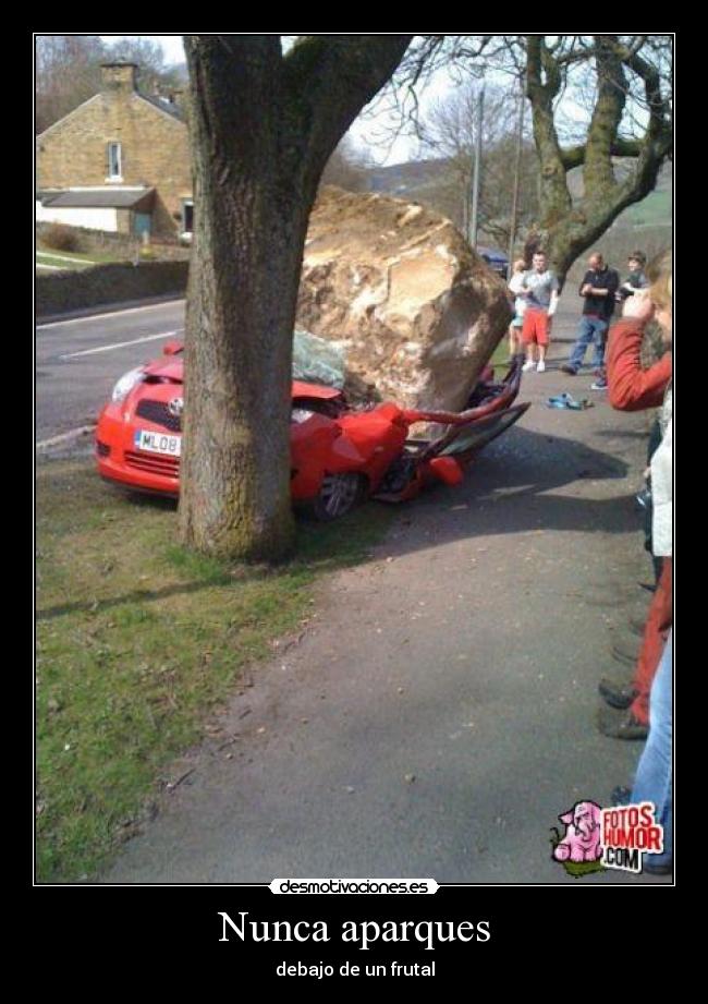 Nunca aparques - debajo de un frutal