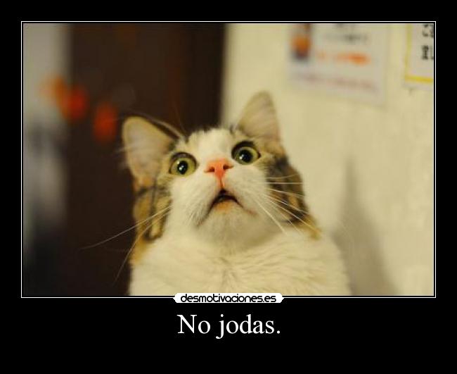No jodas. -