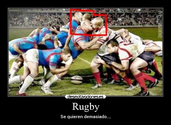Rugby - 