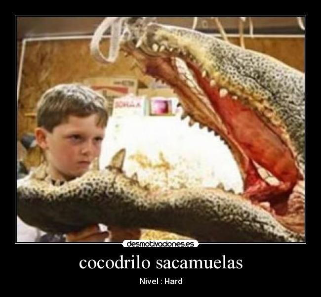cocodrilo sacamuelas - Nivel : Hard