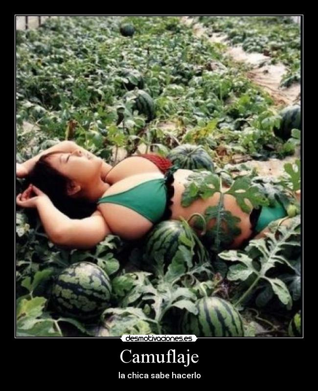 Camuflaje - 