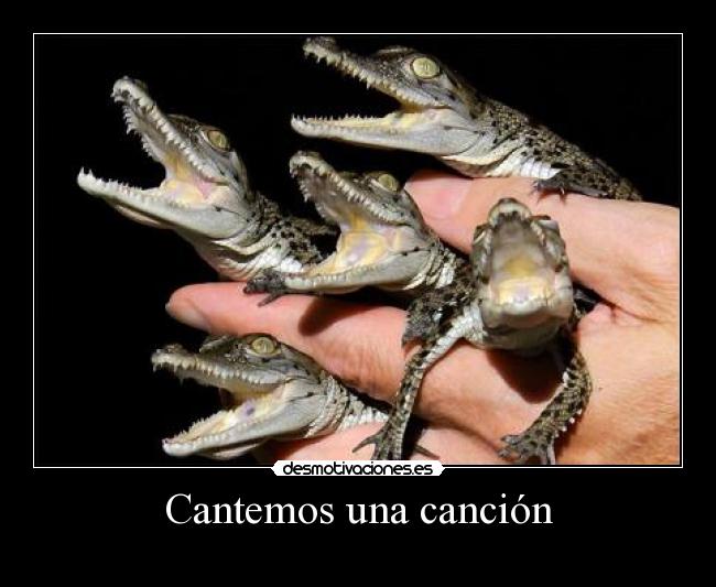 Cantemos una canción -
