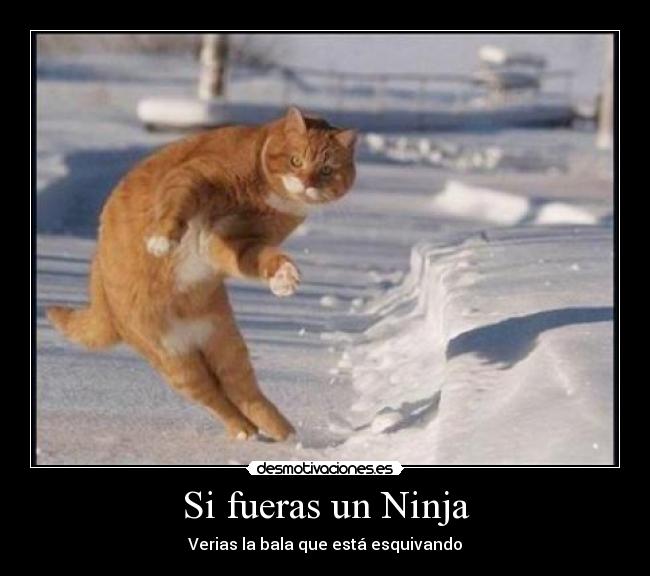 Si fueras un Ninja - 