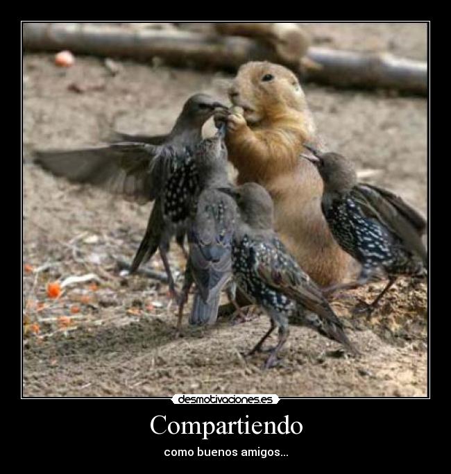 Compartiendo -