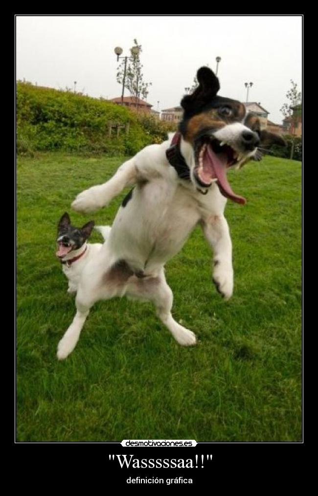 Wasssssaa!! - definición gráfica