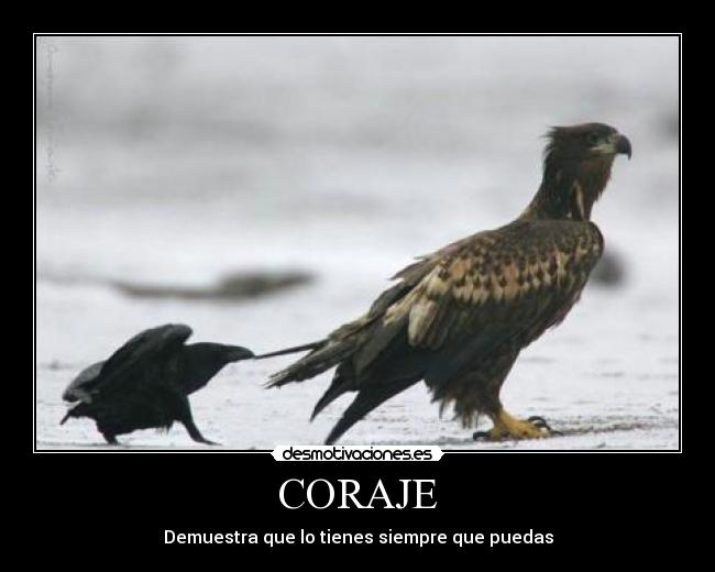 CORAJE - Demuestra que lo tienes siempre que puedas