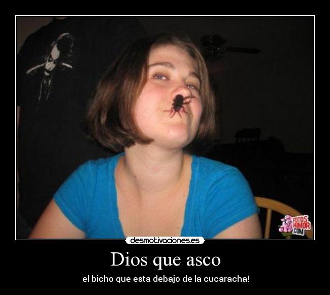 Dios que asco - el bicho que esta debajo de la cucaracha!