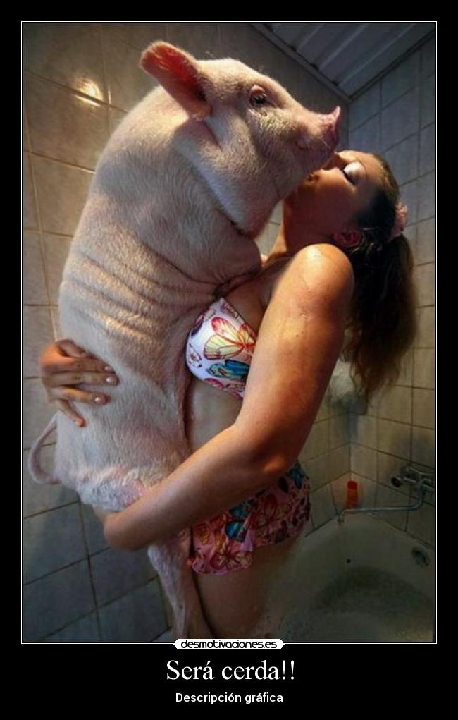 Será cerda!! - 