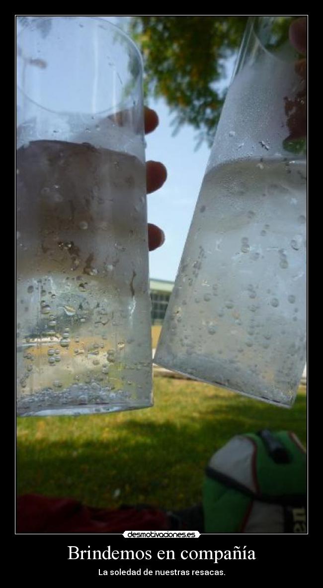 Brindemos en compañía - La soledad de nuestras resacas.