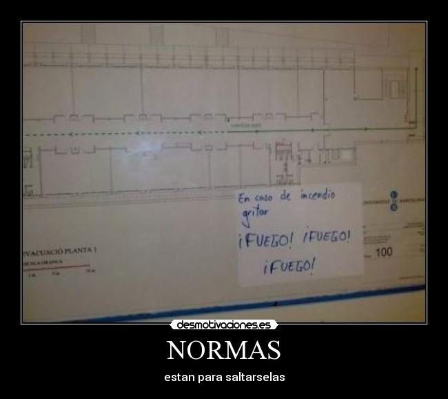 NORMAS - estan para saltarselas