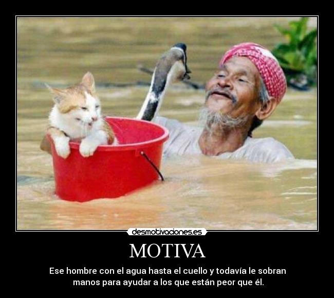 MOTIVA - 