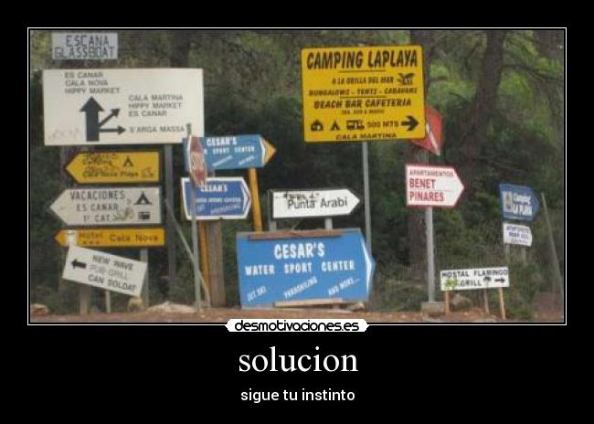 solucion - sigue tu instinto