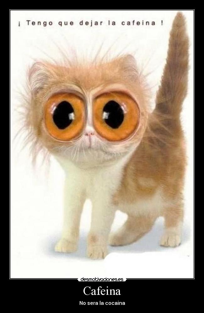 Cafeina - 