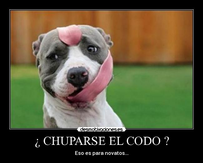 ¿ CHUPARSE EL CODO ? - 