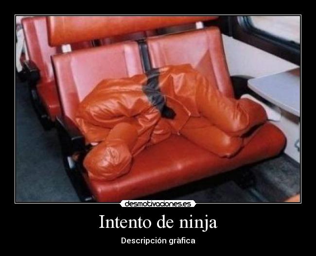 Intento de ninja - Descripción gràfica