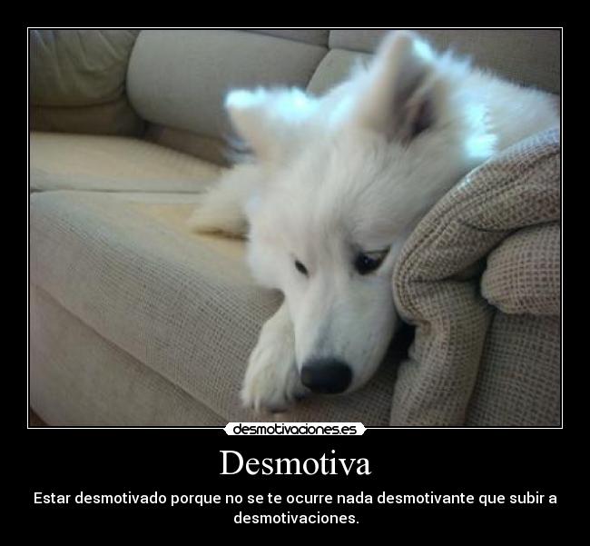 carteles aburrimiento pre-examen desmotivaciones