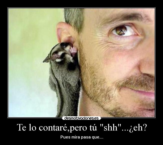 carteles kisco2323 desmotivaciones